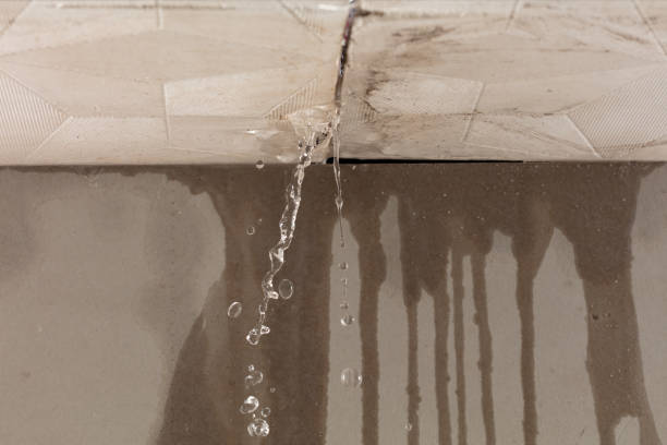 Professional Water Damage Repair technician working in Rogers, TX